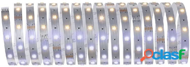 Paulmann 79863 Striscia LED 12 mm Bianco caldo