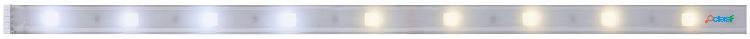 Paulmann 79878 Striscia LED 12 mm Bianco caldo