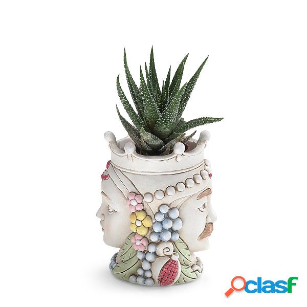 Vaso fiori Testa di Moro con piantina Bicolor Piccola 5xh