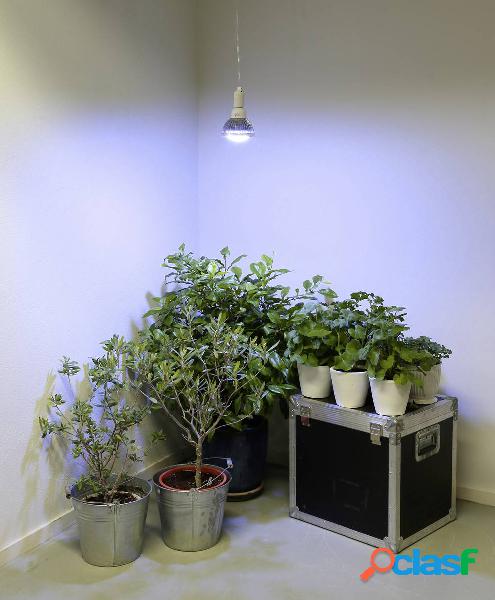 Venso Lampadina per piante 136 mm 230 V E27 18 W Bianco