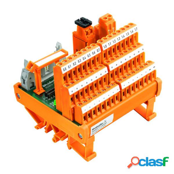 Weidmüller Scheda relè 5 pz. RS 18 24VDC LD 4U LP 4 scambi