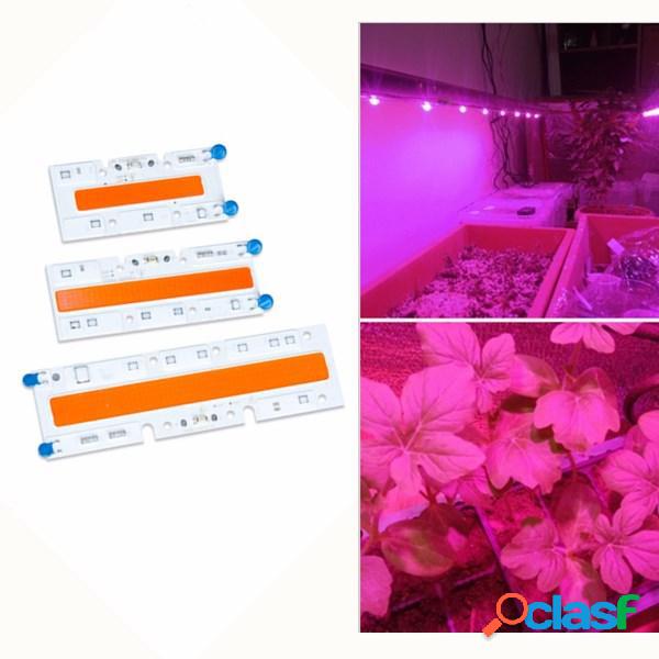 30W/50W/70W Chip Luce LED COB di Coltivazione Spettro