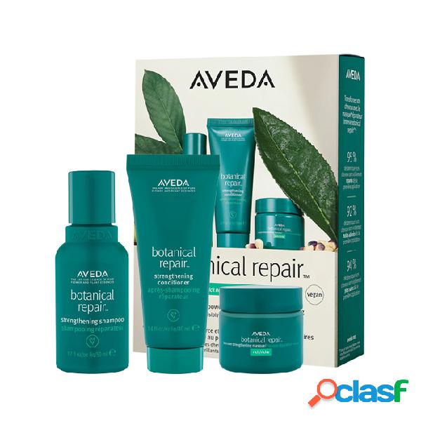 Aveda Botanical Repair Rich Discovery Set