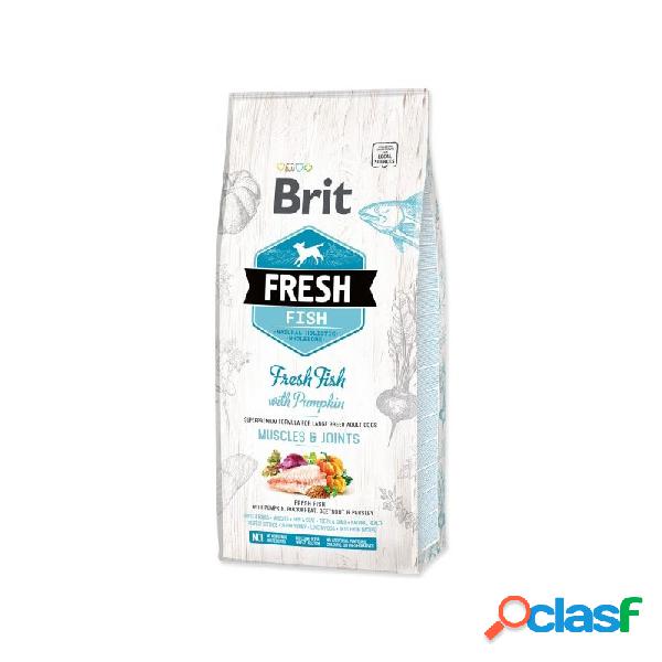 Brit Care - Brit Fresh Adult Large Pesce Con Zucca Per Cani