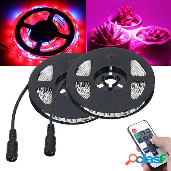 DC12V 2M SMD5050 Rosso: blu 5: 1 spettro completo LED Grow
