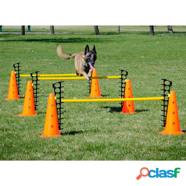 FitPAWS Set di Ostacoli