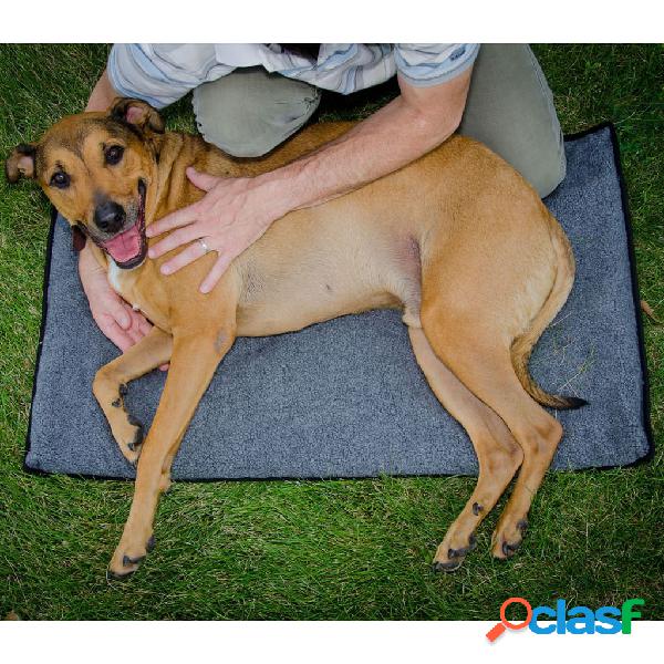 FitPAWS Tappetino per lo Stretching per Cani K9FITbed M/L