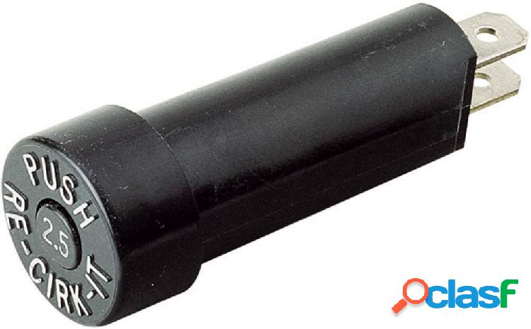 Interruttore di protezione 250 V/AC, 32 V/DC 10 A 1 pz.