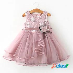 Kids Little Girls Dress Florals Flower Birthday Casual