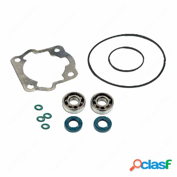 Kit cuscinetti skf + guarnizioni cilindro