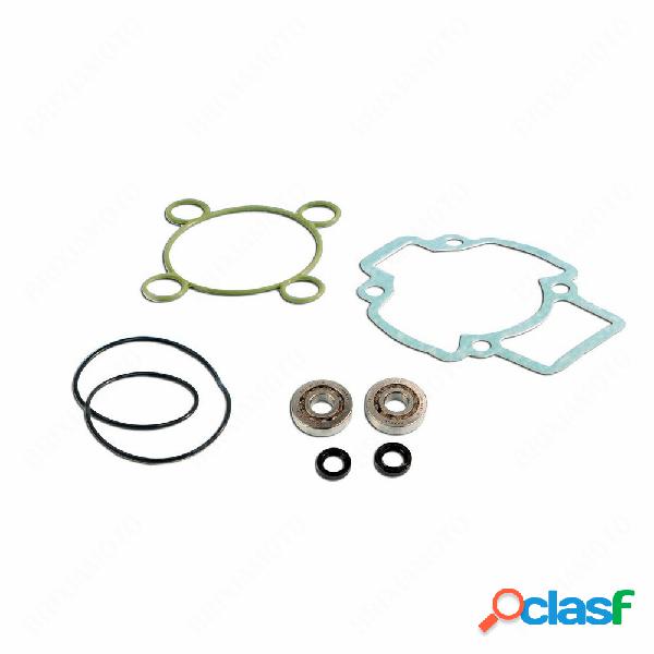 Kit cuscinetti skf +guarnizioni h2o 075105