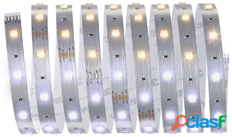 Paulmann 79862 Striscia LED 12 mm Bianco caldo