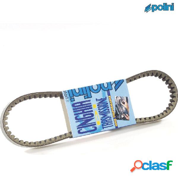 Polini p248118 cinghia original cygnus x