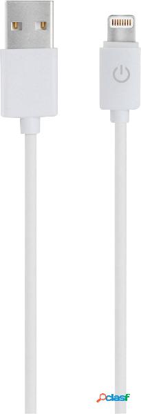 RealPower Cavo USB USB 2.0 Spina USB-A, Connettore Apple