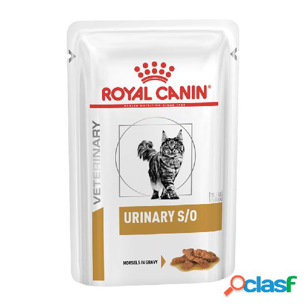 Royal Canin Veterinary Diet Cat Urinary S/O Gravy12x85 gr