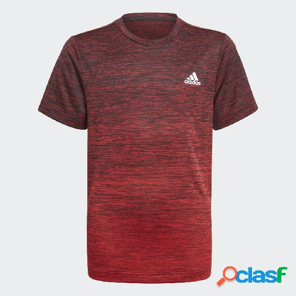 T-shirt AEROREADY Gradient