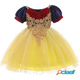 Toddler Little Girls Dress Floral Cartoon Sequins Mesh