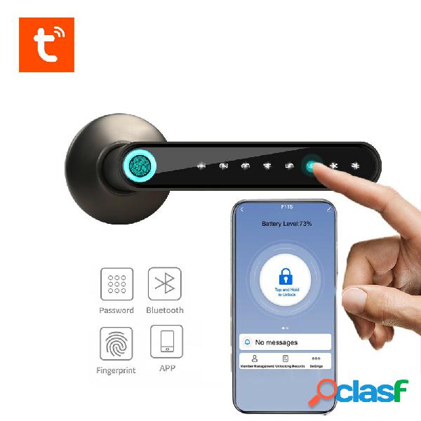 WAFU WF-016 TUYA APP Fingerprint Smart serratura bluetooth