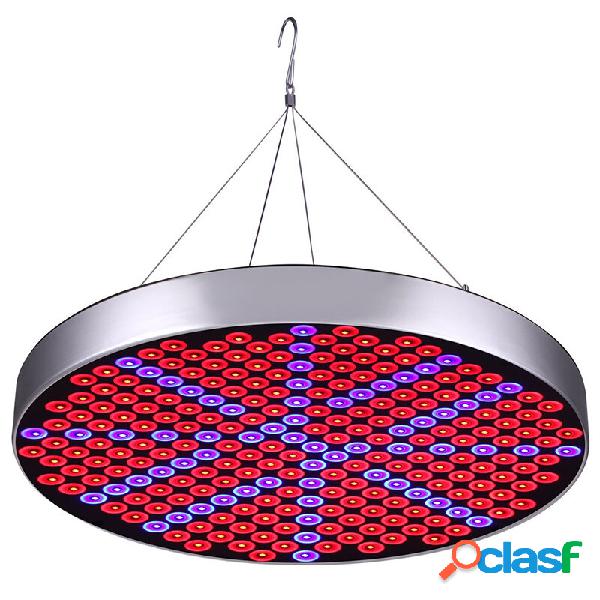 1200W 250LED Pianta tonda che cresce lampada Pianta da serra