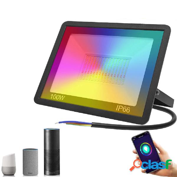 30W/50W/100W 220V RGB Smart LED Proiettore RGB CCT Supporto