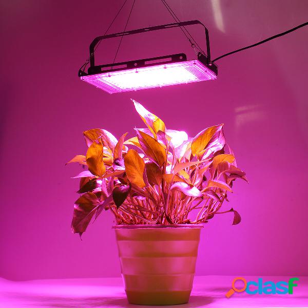 50W 100W LED coltiva le verdure della pianta dellinterno