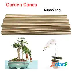 50pcs pianta di legno coltiva il supporto bastoncini di