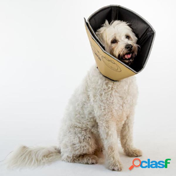 All Four Paws Collare Medico per Cani Comfy Cone Taglia S 20