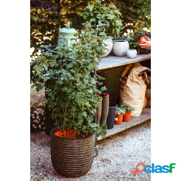 Capi Vaso Nature Row Rotondo 35x34 cm Verde Oliva