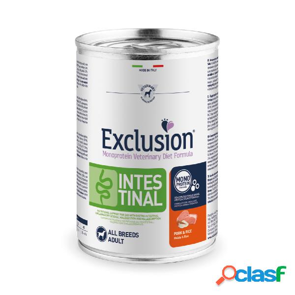 Exclusion Monoprotein Veterinary Diet Dog Intestinal Pork