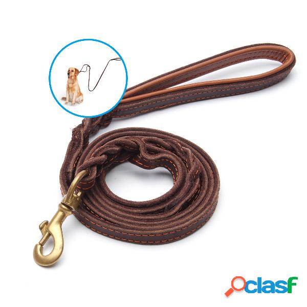 Focuspet Guinzaglio per cani in pelle resistente con 2