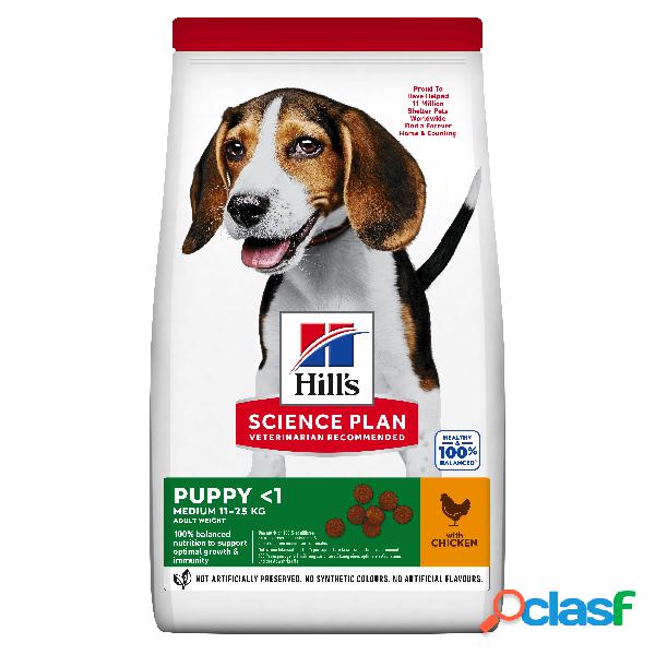 Hill's Science Plan Dog Medium Dog Puppy con Pollo 12 kg