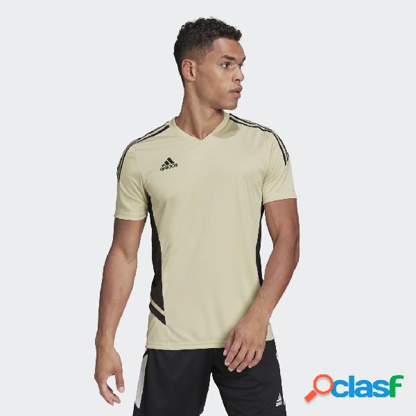 Maglia Condivo 22