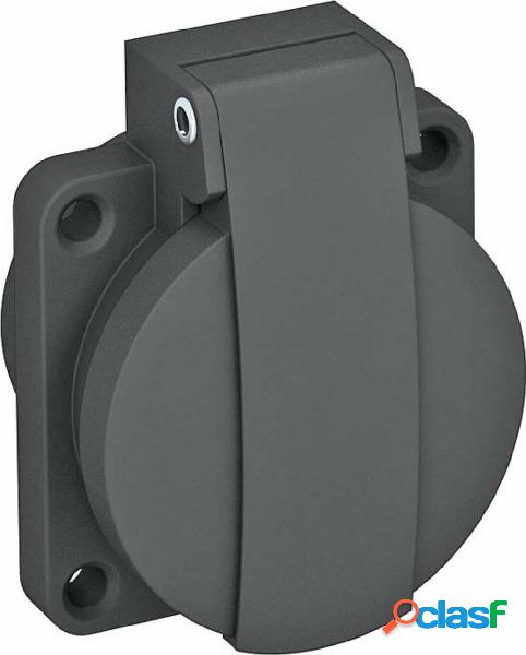 OBO Bettermann 6109873 Presa da pannello IP44 Nero