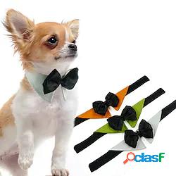 Prodotti per cani Prodotti per gatti Collana Vestiti del