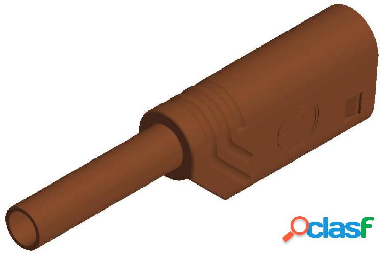 SKS Hirschmann MST S WS 30 Au Spina da laboratorio Spina