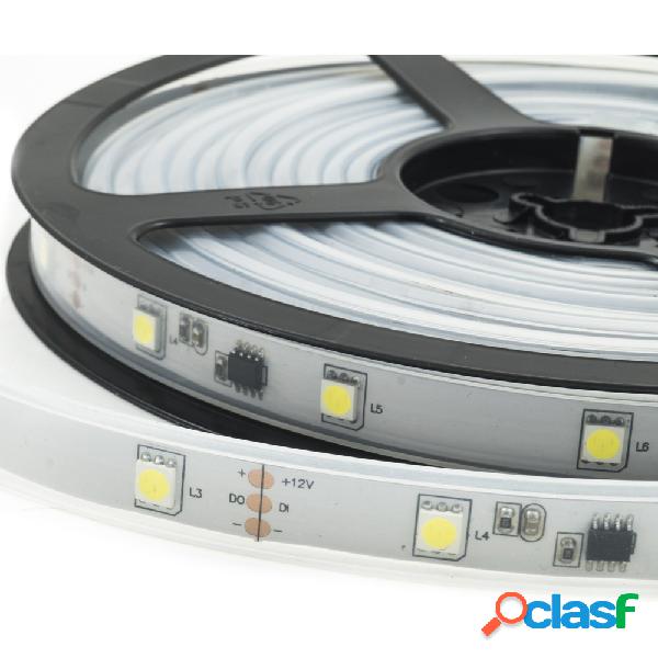STRISCIA STRIP LED MULTIEFFECT SMD 5050 150 SMD FLESSIBILE