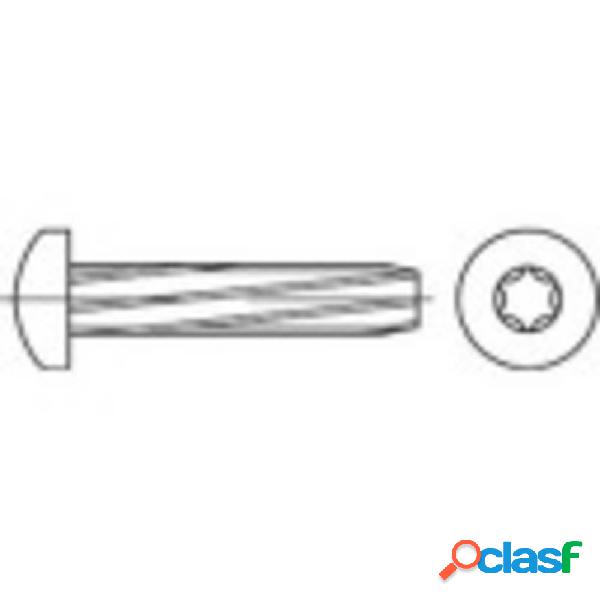 TOOLCRAFT 141918 Viti autofilettanti M5 16 mm Impronta T DIN