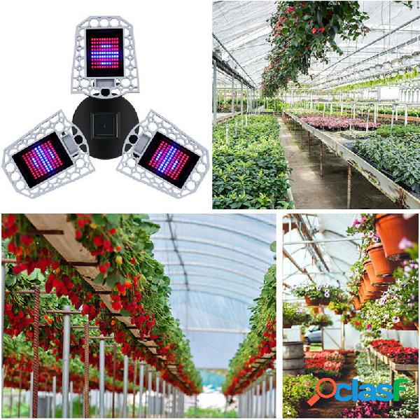 216/297 LED Grow Light Foldable Red and Blue Light for