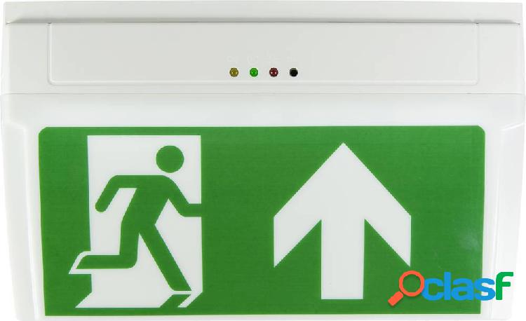 B-SAFETY BR530030 Indicazione via di fuga illuminata a LED