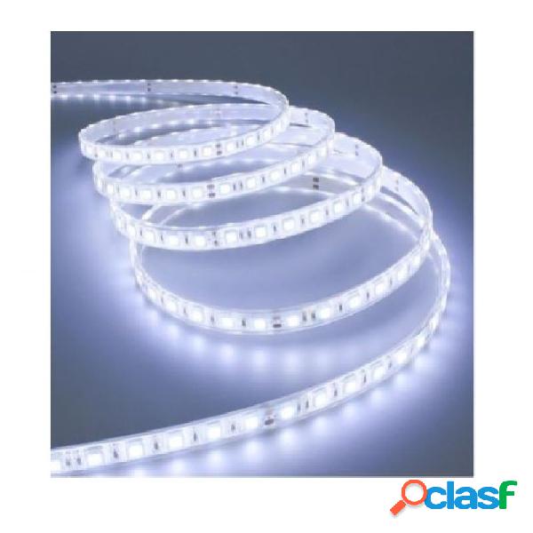 BOBINA STRISCIA LED 5050 FLESSIBILE 5M ADESIVA LUCE INTERNO