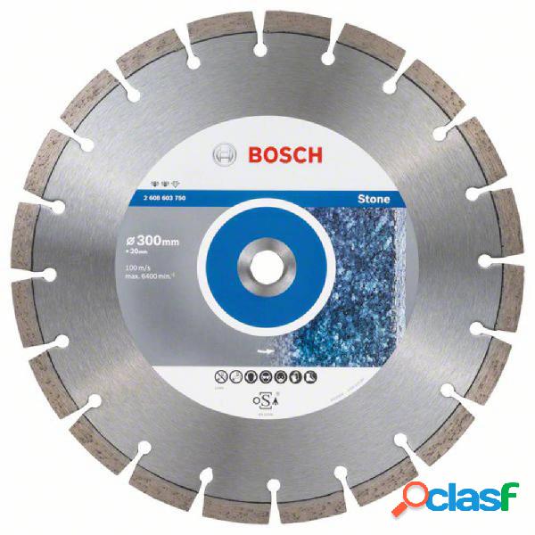 Bosch Accessories 2608603750 Expert for Stone Disco