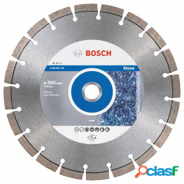 Bosch Accessories 2608603793 Expert for Stone Disco