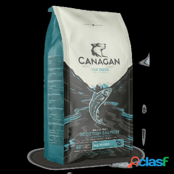 Canagan - Canagan Scottish Salmon Per Cani