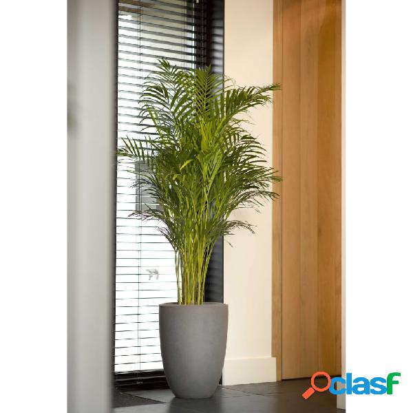 Capi Vaso Urban Smooth Elegante Basso 36x47 cm Grigio Chiaro