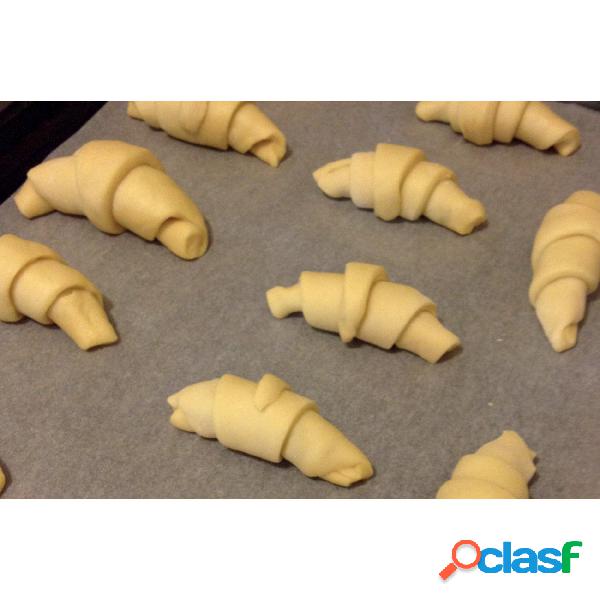Carta Da Forno Con Rivestimento PTFE, peso 0,03 kg, set da
