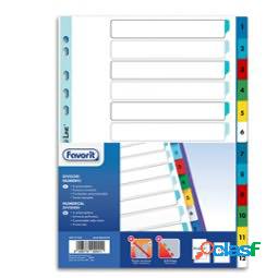 Divisori numerici 12 tacche - A4 - PP - colori assortiti -
