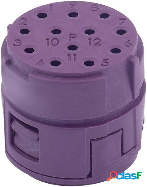 EPIC® CIRCON M23 Inserto presa EPIC® M23 12P LAPP Tot