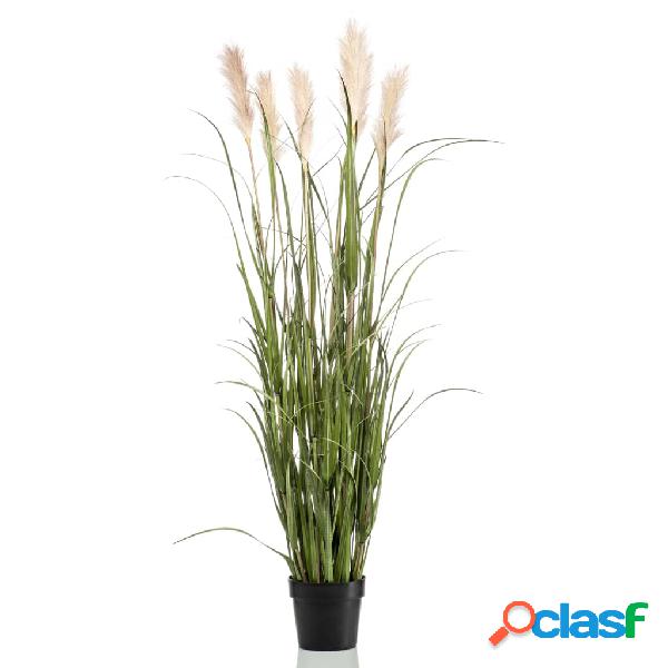 Emerald Erba della Pampa Artificiale in Vaso 160 cm