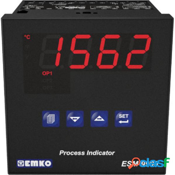 Emko ESM-9900.2.20.2.1/00.00/0.0.0.0 Display di processo