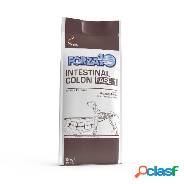 Forza10 Active Dog Adult Intestinal Colon fase 1 10 kg